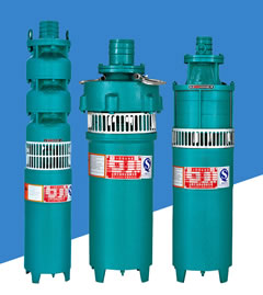 QS/QSR型小型潜水电泵
